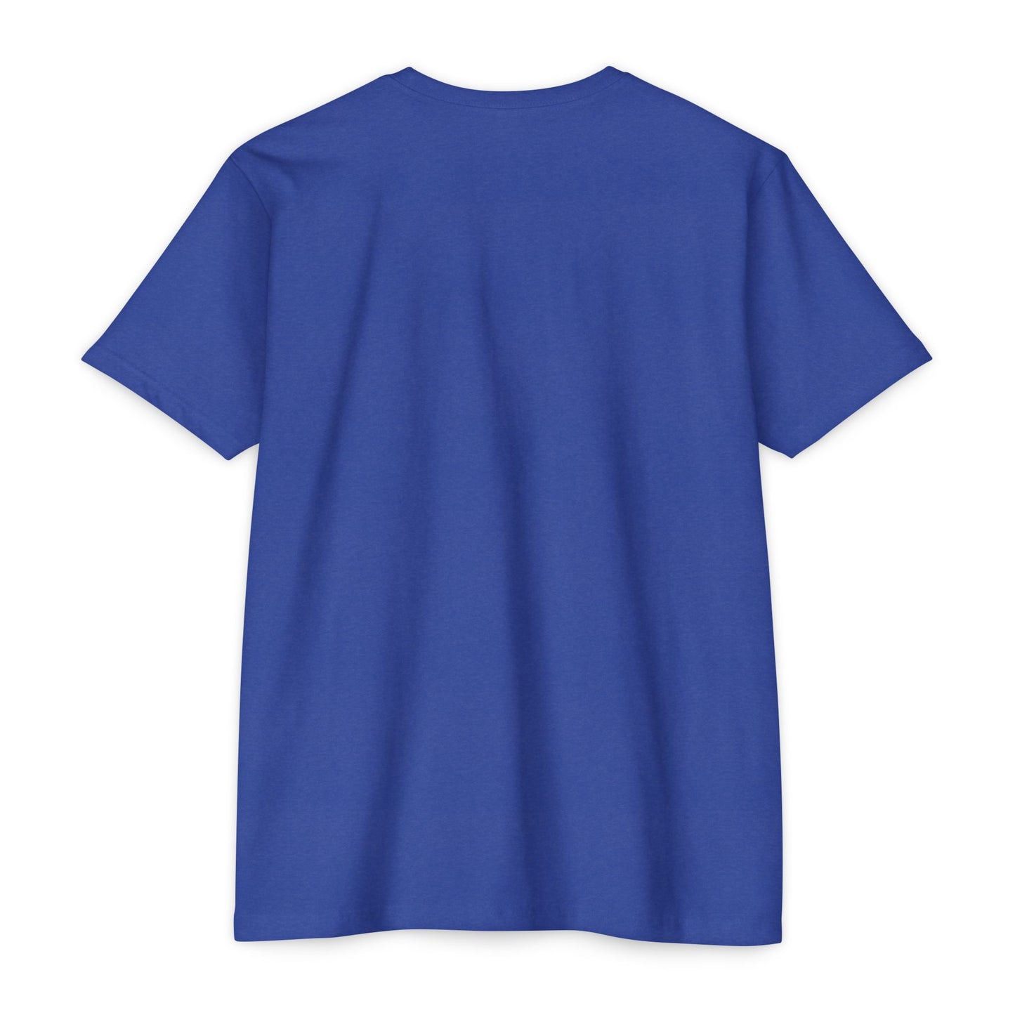 nailed it winter Unisex CVC Jersey T-shirt