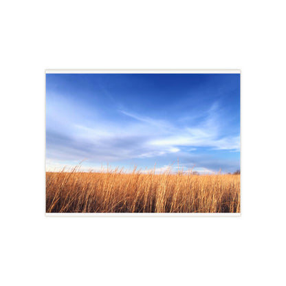 Winter Wheat, ceramic photo tile rectangle