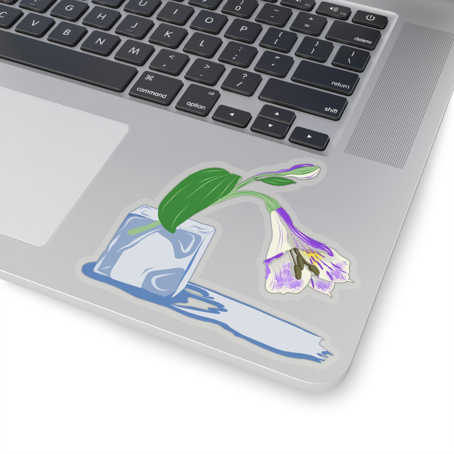 Flower on Ice Vector, Stickers