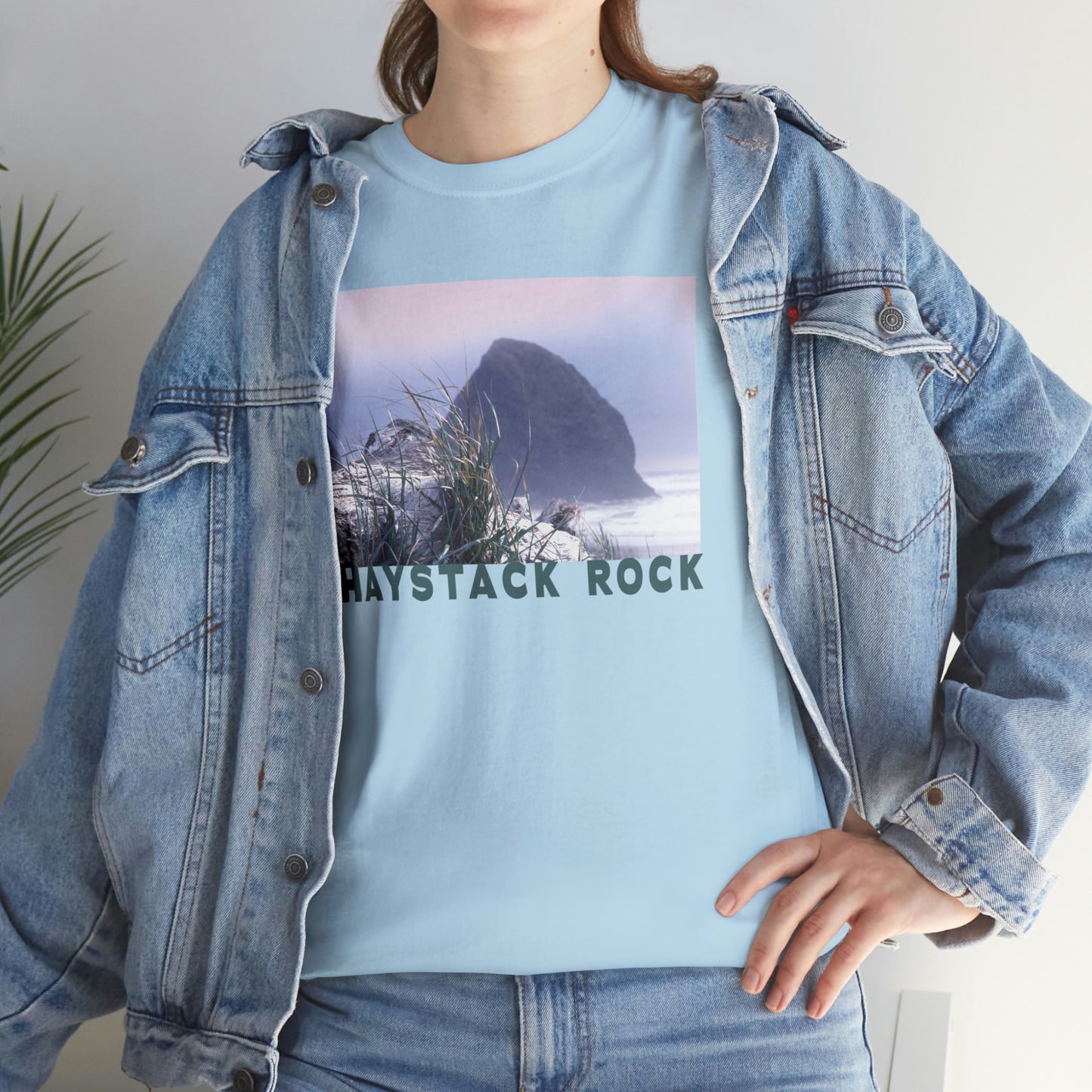 Haystack Rock, Unisex Heavy Cotton Tee