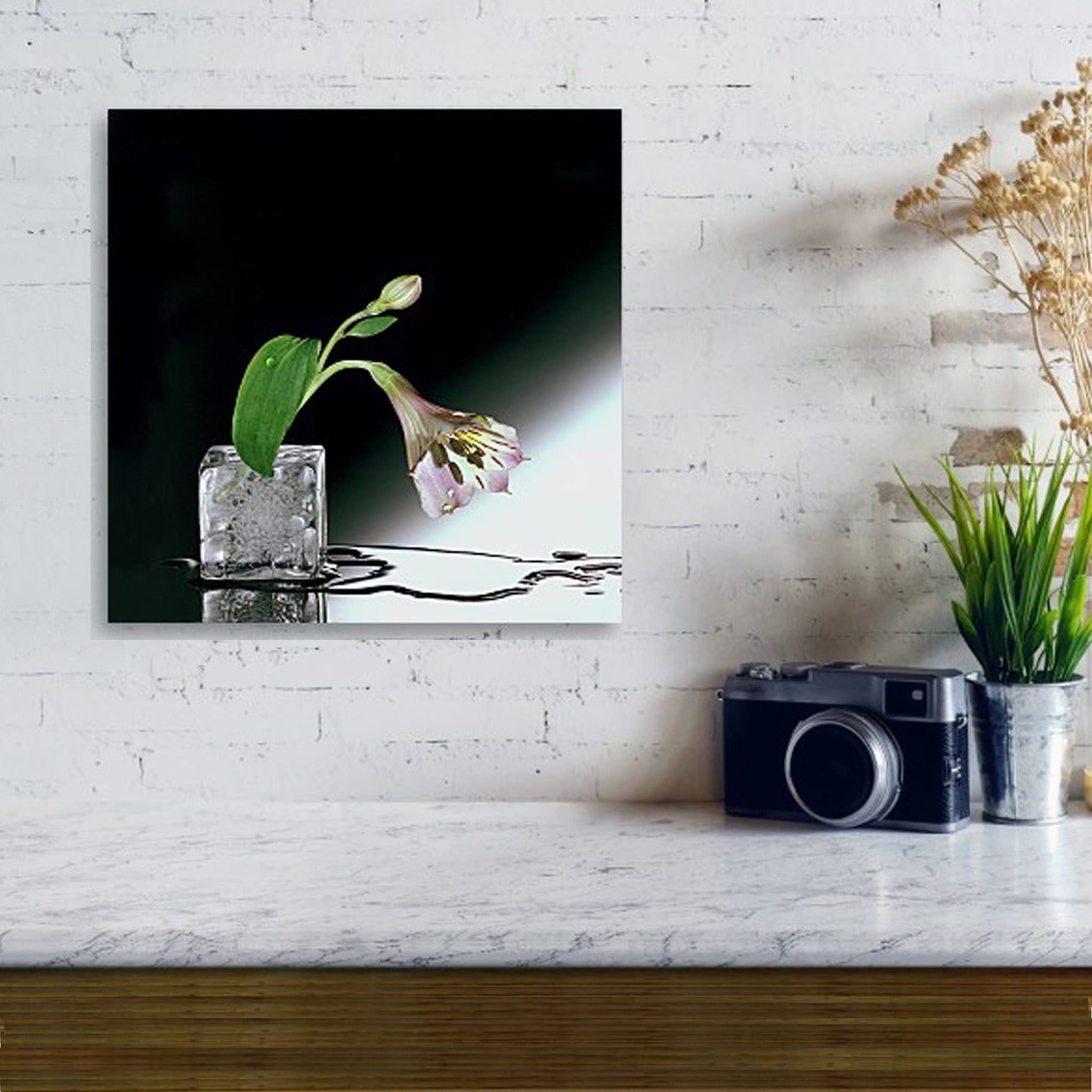 Flower on Ice - Canvas Print