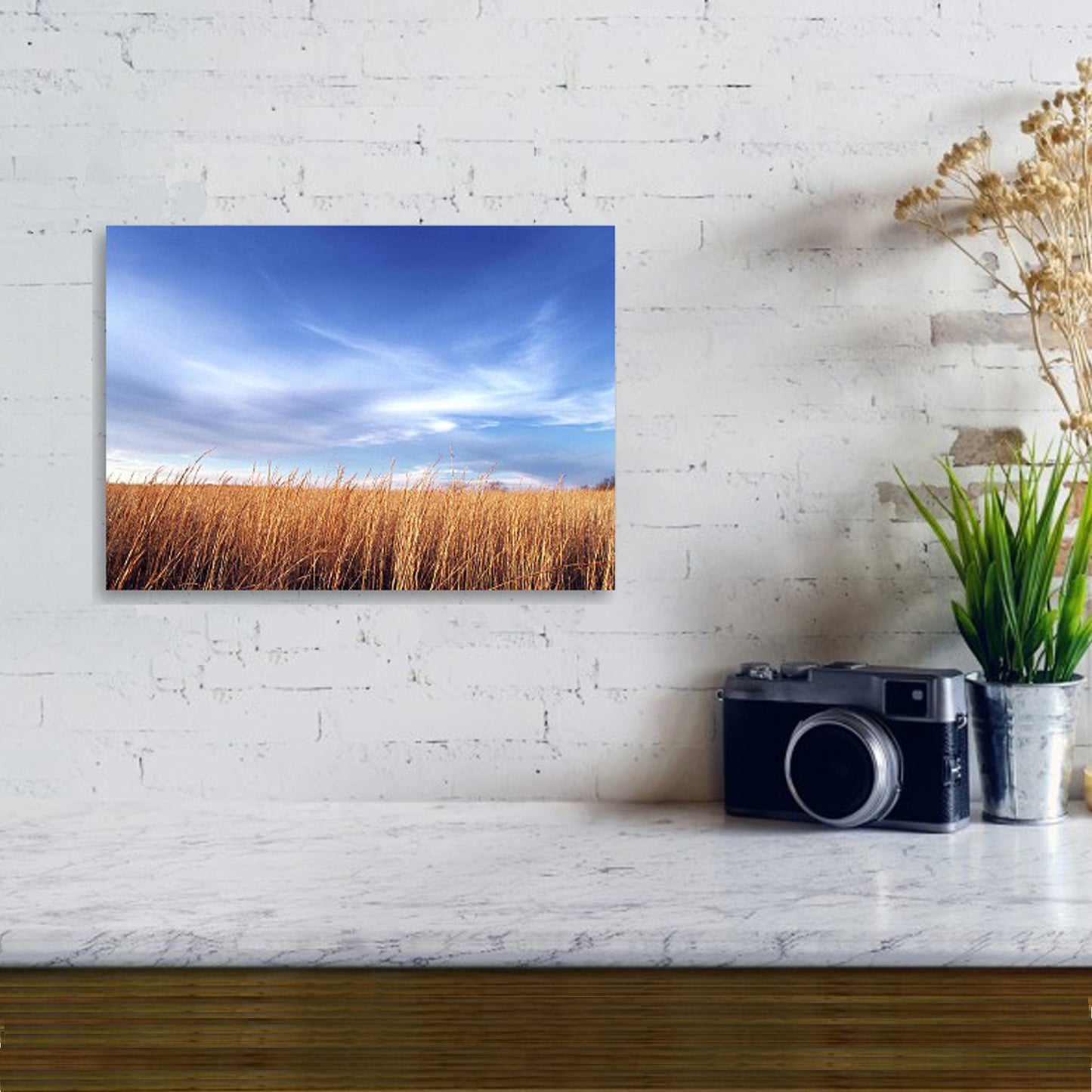 Winter Wheat - Canvas Print