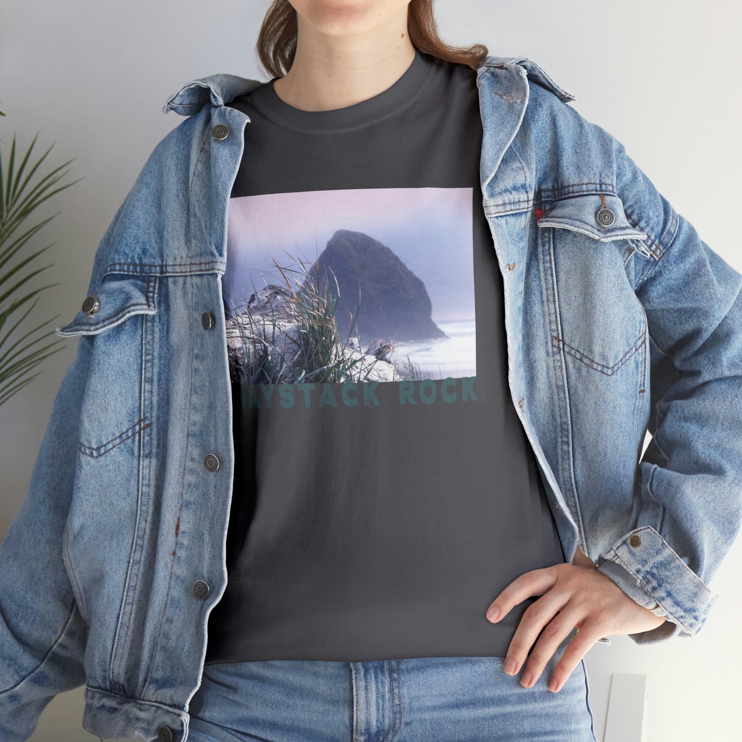 Haystack Rock, Unisex Heavy Cotton Tee