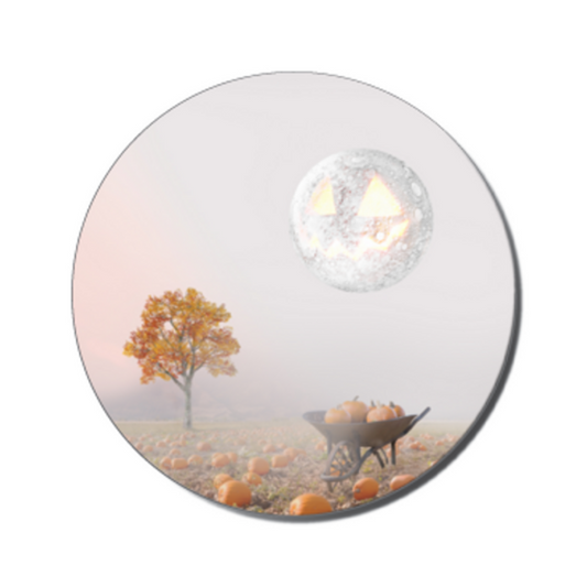 Autumn Sandstone Coaster