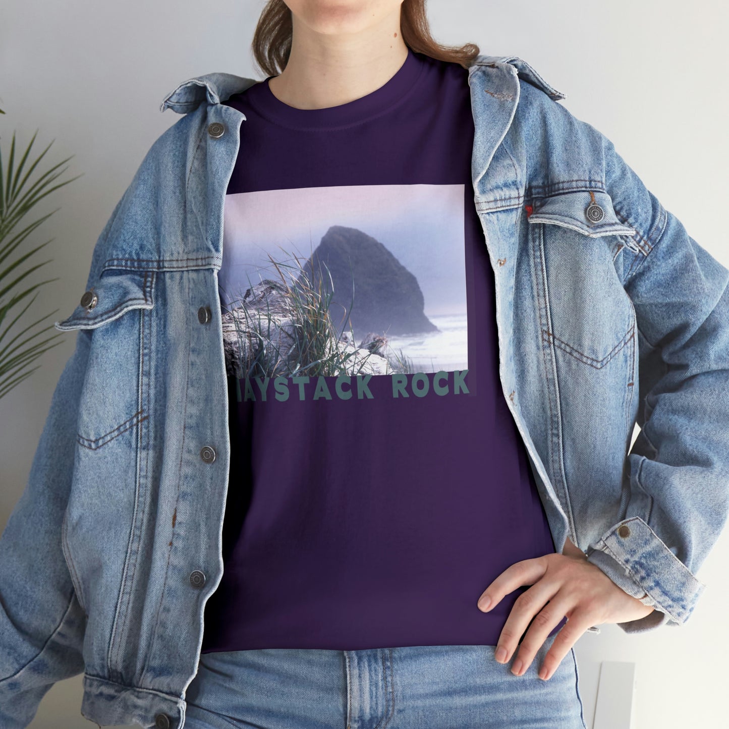 Haystack Rock, Unisex Heavy Cotton Tee