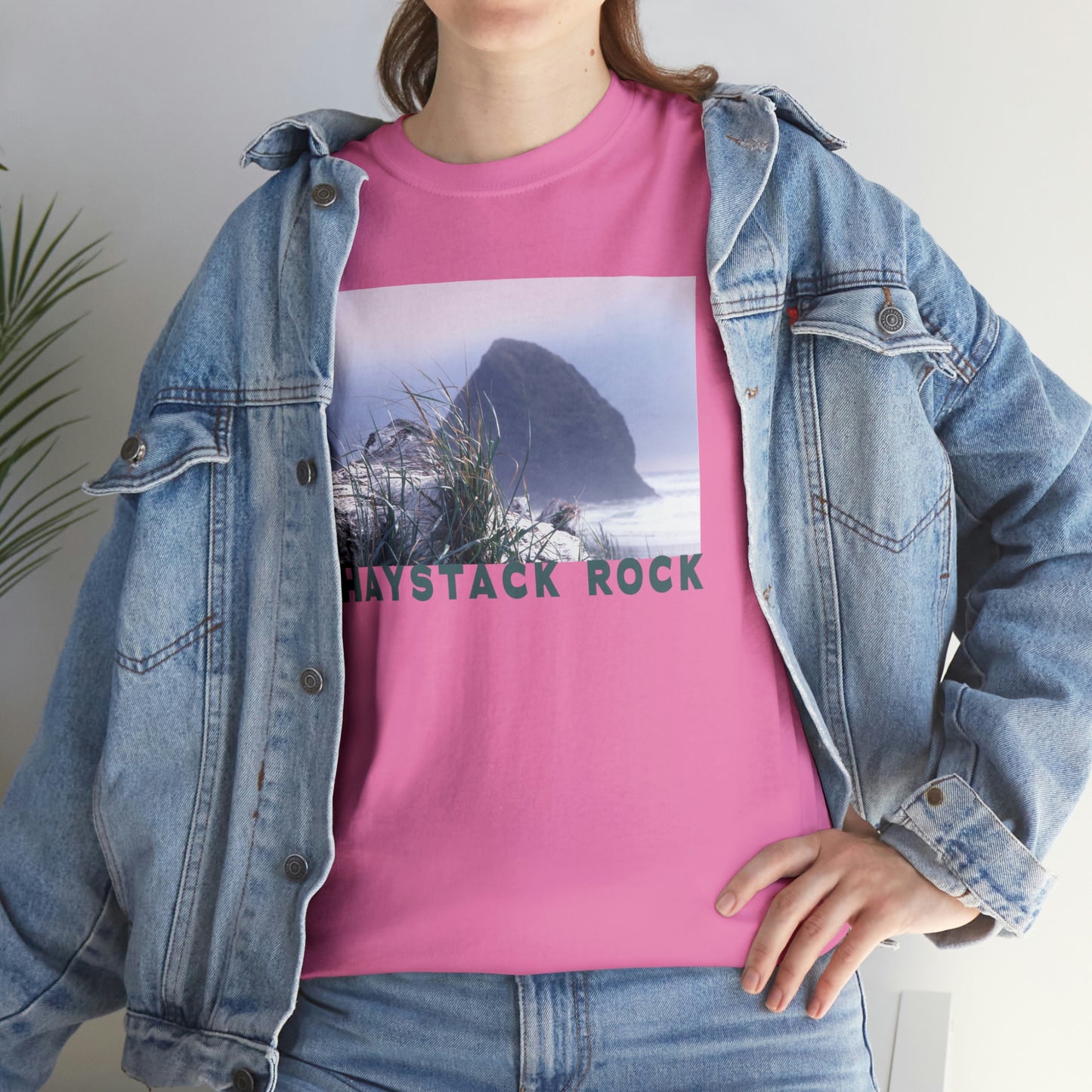 Haystack Rock, Unisex Heavy Cotton Tee