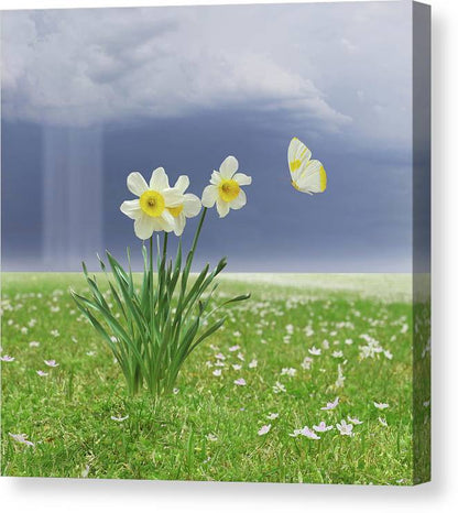 Springtime - Canvas Print