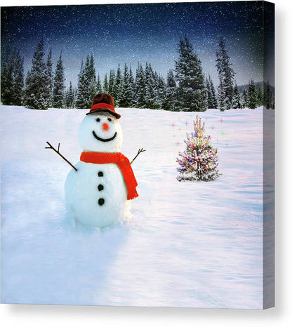 Wintertime - Canvas Print